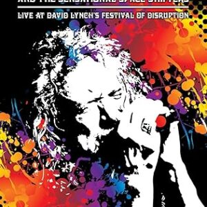 robert plant live at david lynch's disruption