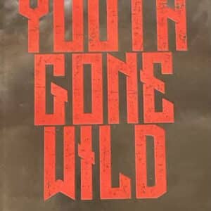 youth gone wild book